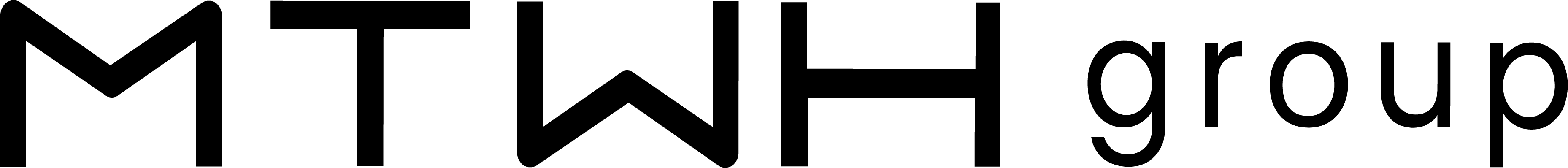MTWH Group